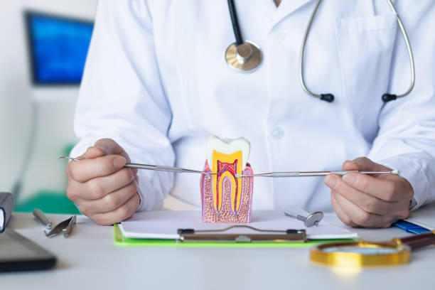 Best Emergency Root Canal Treatment in Moville, IA